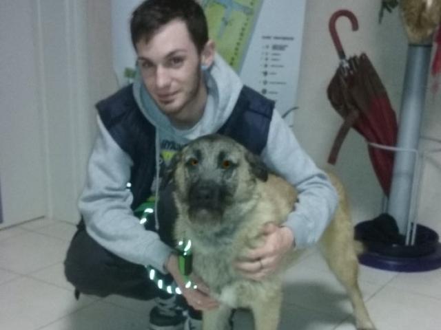 Kevin e JJ
